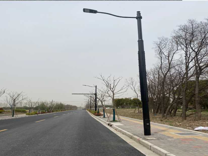 青神县上海综合杆 太阳能路灯工程